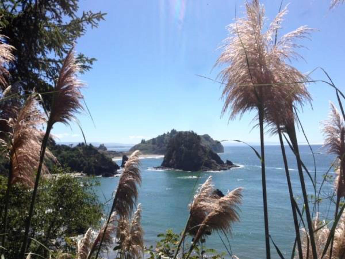 Trinidad Bay Bed And Breakfast Hotel Exterior photo